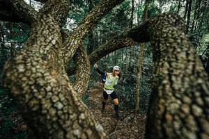 BIB: 
                            <button type="button" onclick="openModal(25392900)" class="btn btn-primary btn-sm float-right btn-popup" data-toggle="modal" data-target=".modal-high-quality">
                        <i class="fas fa-shopping-cart"></i> Add to Cart
                    </button>
                                            <button type="button" onclick="isThisMe(25392900, true)" class="btn btn-success btn-sm float-right btn-popup btn-isme hidden" data-toggle="tooltip" data-placement="bottom" title="นี่คือรูปของคุณใช่ไหม คลิกที่นี่เพื่อเอาเข้าอัลบั้ม">
                        <i class="fas fa-plus"></i> Add to album
                    </button>
                    <button type="button" onclick="isThisMe(25392900, false)" class="btn btn-warning btn-sm float-right btn-popup btn-isnotme hidden">
                        <i class="fas fa-ban"></i> Remove from album
                    </button>